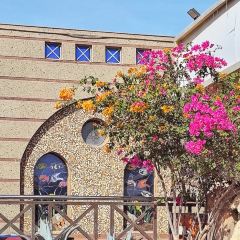 Zafarana Restaurant 여행 사진