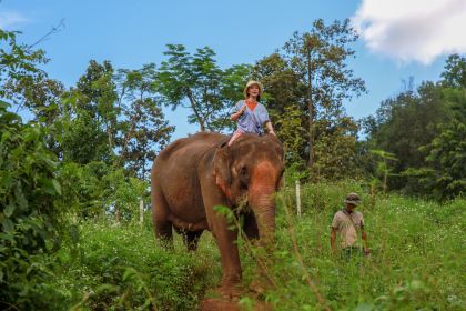 Elefin Farm & Cafe เอเลฟิน ฟาร์ม แอนด์ คาเฟ่