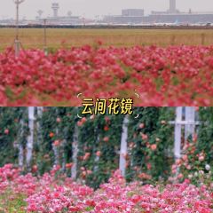 云间花境餐厅 User Photo