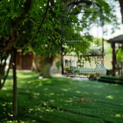 獨一處草堂張用戶圖片