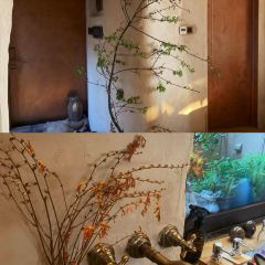 抚仙湖·自在汐岸咖啡餐吧 User Photo