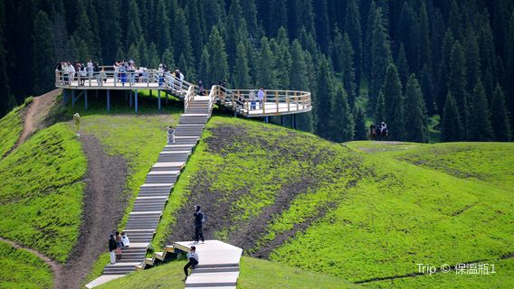 qi meng de guan jing tai