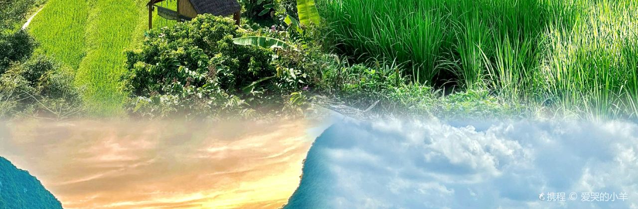 观瀑稻田咖啡时光集