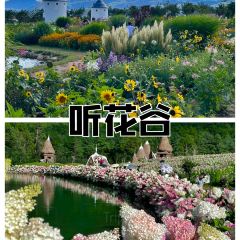 听花谷餐厅 User Photo