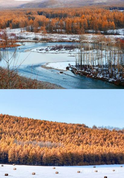 米婆婆营养早餐店