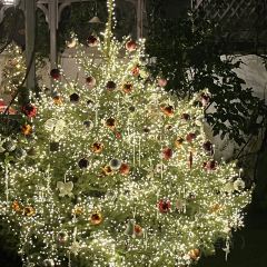 Cooperland User Photo