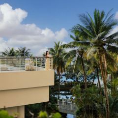 Ohas cafe (Kensington) User Photo