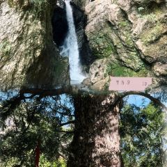 乡野菜 User Photo