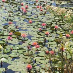 M Stand(麓湖美食岛店) User Photo