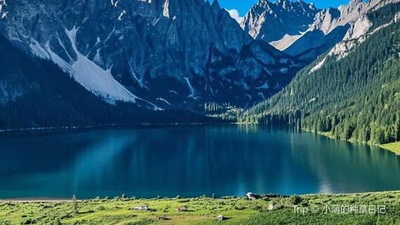 Zangbala Flower Sea Scenic Area