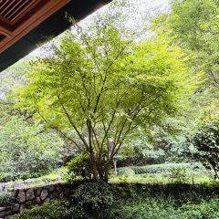 杭州湘湖逍遥庄园·逸吧 User Photo