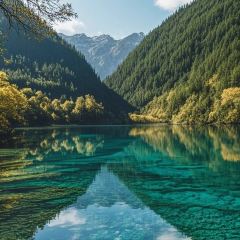 自選王大食堂張用戶圖片