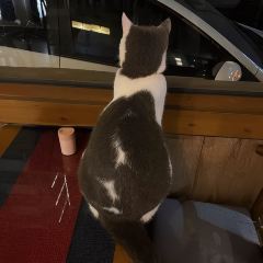 丁小福糖水铺子 User Photo