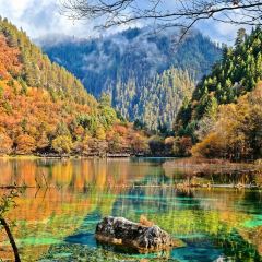 阿妈家特色藏餐(九寨沟店) User Photo