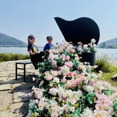 枇杷熟了coffee User Photo