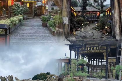 寒野柴火鸡(51店)