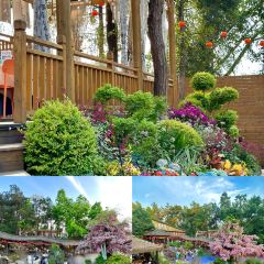 芙蓉裡•小漁村 （金星路店）張用戶圖片