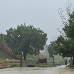 ZHENG XI WANG User Photo