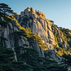 肖家饸饹面总店(郑州总店) User Photo