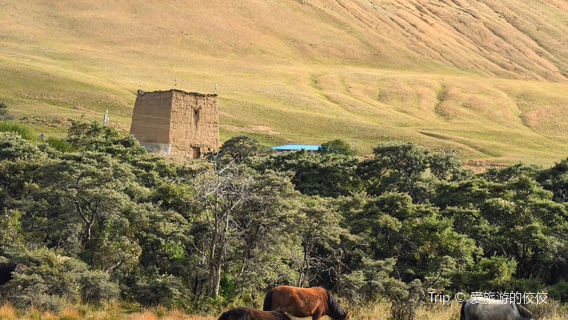 cuo na qian nian gu sha ji lin