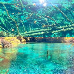 卡万金特色藏餐 User Photo