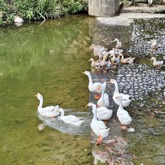 鲜面缘海鲜面(兴工二路店) User Photo