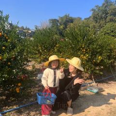 明味生態農莊張用戶圖片