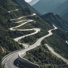 MALAYA TIBETAN RESTAURANT User Photo