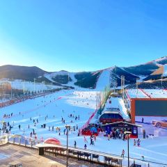 大偉烤全羊（崇禮直營店）用戶圖片