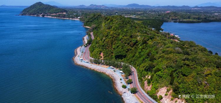 Coffee Cove