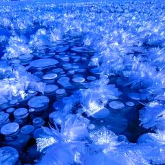 赛湖云上餐厅 여행 사진