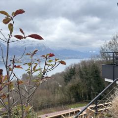 Les Terrasses du Lac User Photo
