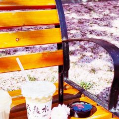 甜豆集 User Photo