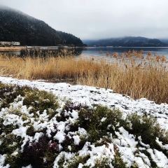 Momijitei-Hoto User Photo