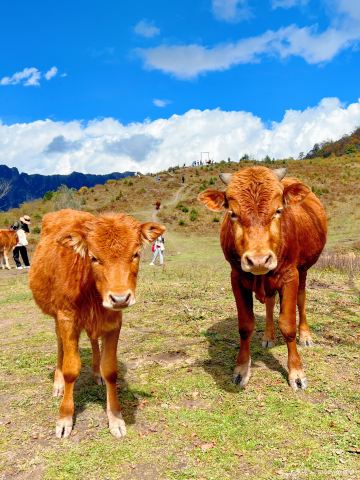 Yunzhong Ranch