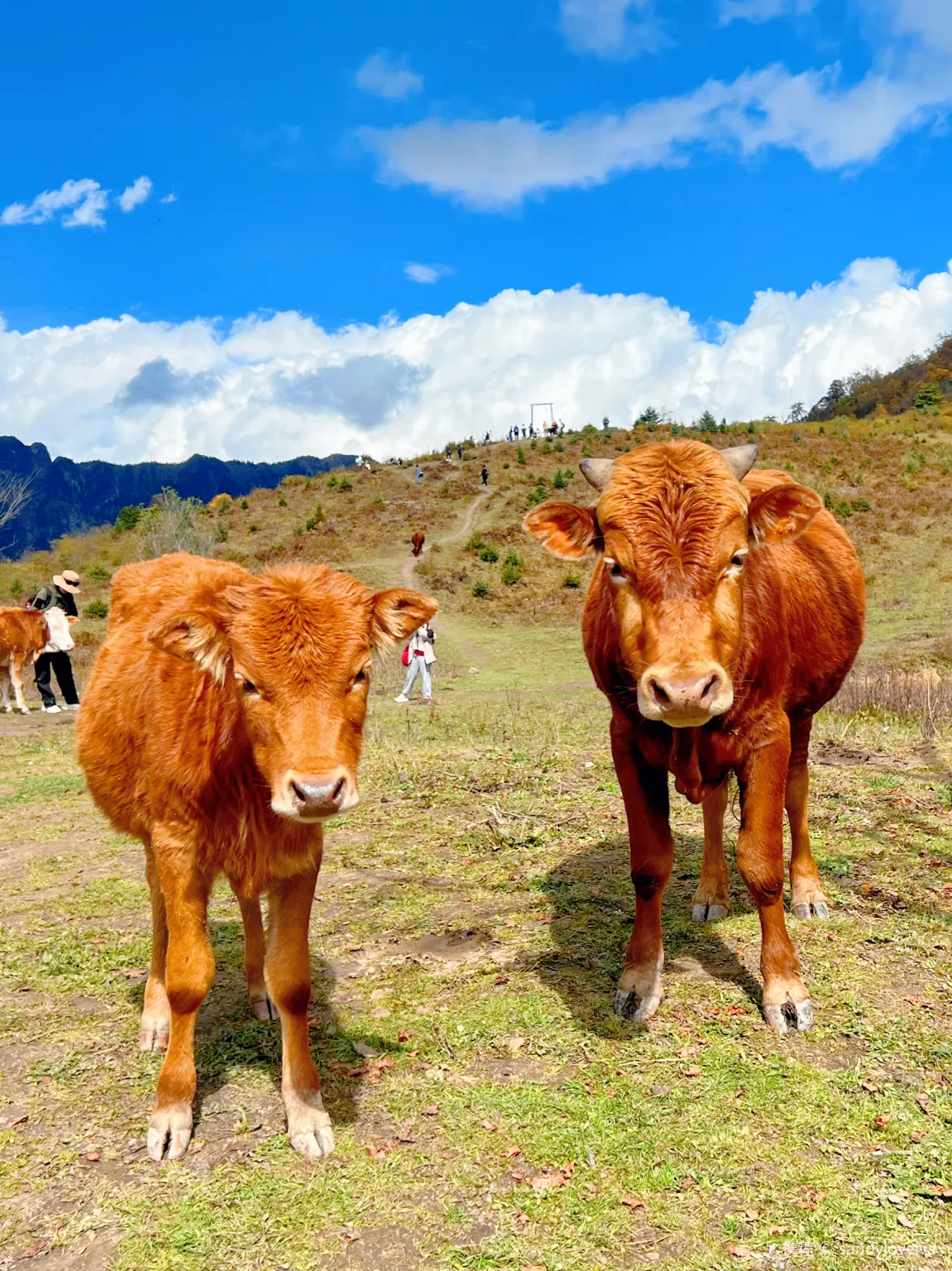 Yunzhong Ranch