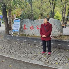 夏黑子坛子鱼(总店) User Photo
