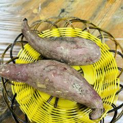 Zijingnongzhuang User Photo