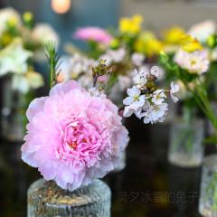 Le Manoir Ling·Dining User Photo