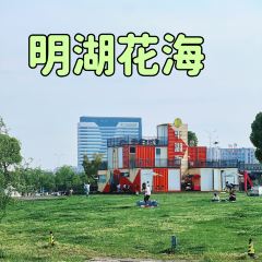 平湖派咖啡馆 User Photo