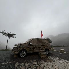 家朋土菜馆 User Photo