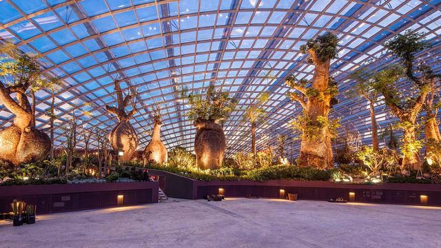 【新加坡】Alan Walker 2024 Walkerworld行者世界巡演 | 新加坡