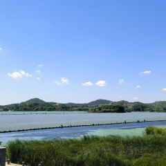 秀山湖畔張用戶圖片