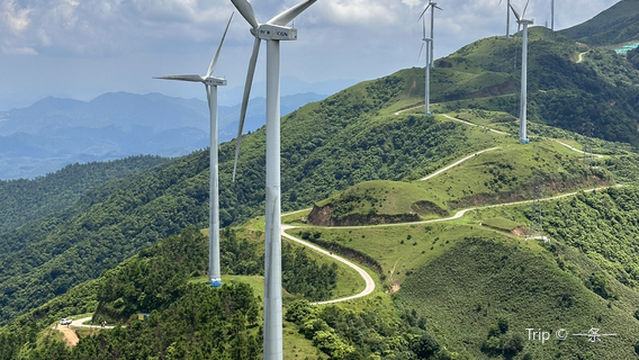 xin xing feng che shan 1 hao ri luo guan jing tai