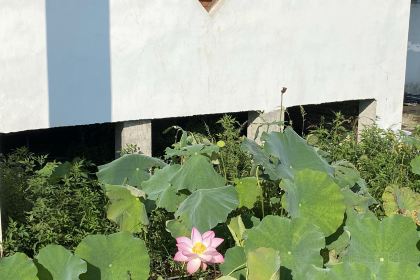 好口福小吃店(中兴街店)