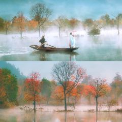 Sage Hall Homestay User Photo