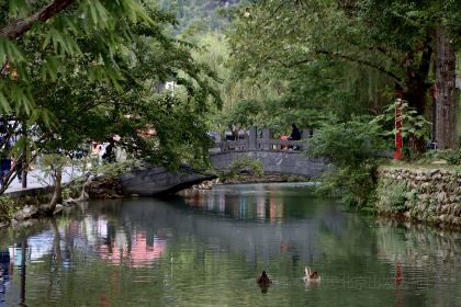小苗鹊咖啡(梵净山店)