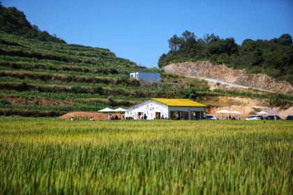 在发呆·lan's浪肆咖啡庄园