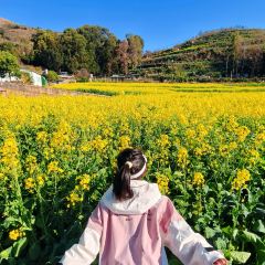 抚仙湖·自在汐岸咖啡餐吧 User Photo