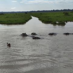 레이크 나이바샤 컨트리 클럽 여행 사진